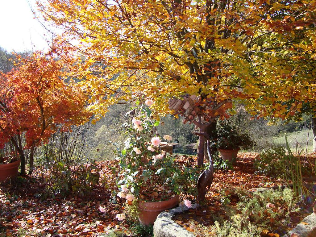 Bed and Breakfast Cascina Nel Bosco Moncucco Torinese Екстер'єр фото