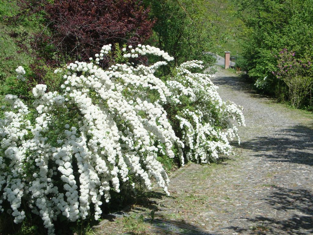 Bed and Breakfast Cascina Nel Bosco Moncucco Torinese Екстер'єр фото